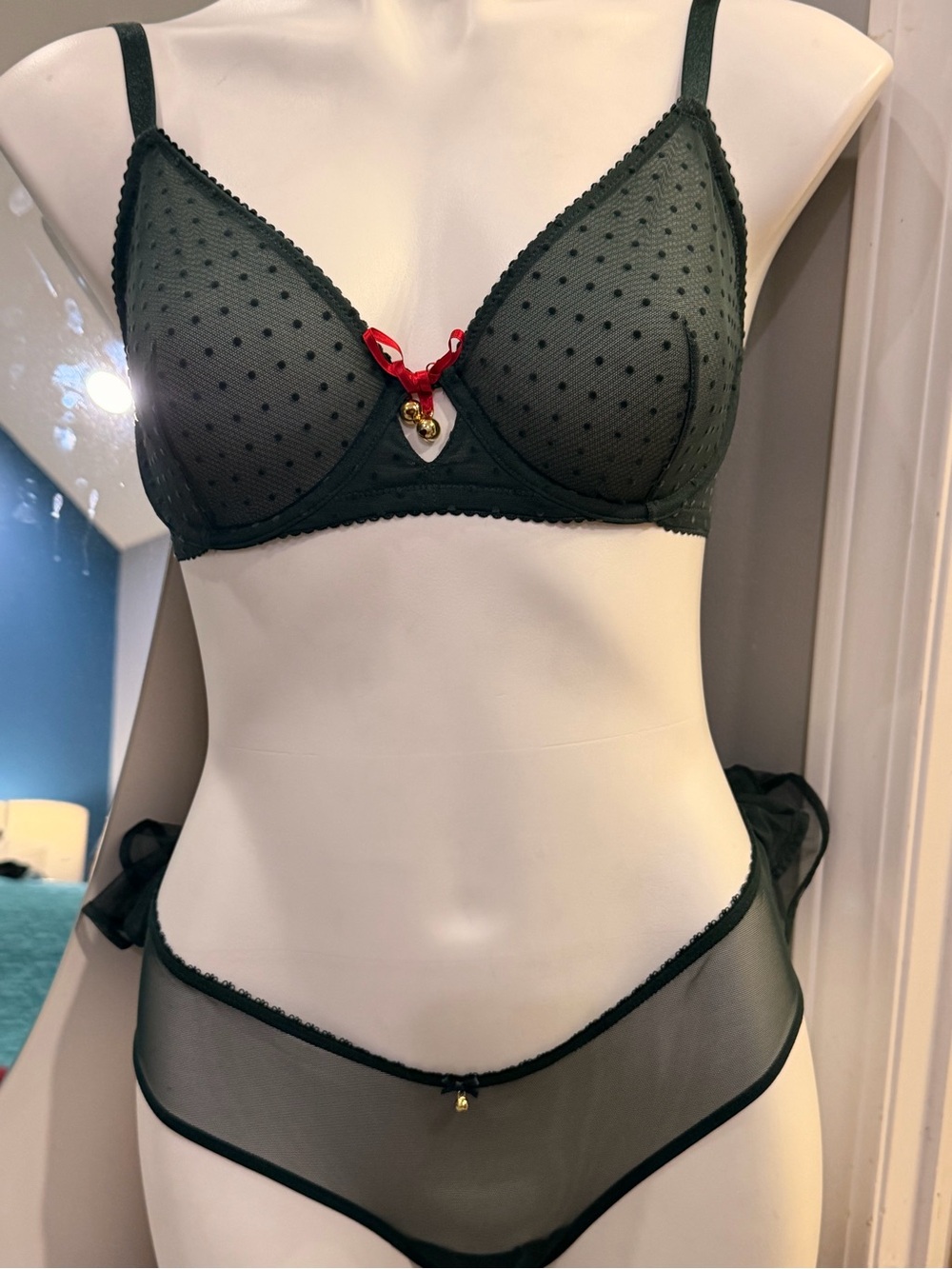 Victoria's Secret Forest Green Sheer Polka Dot Bra & Bikini Set with Red Accent